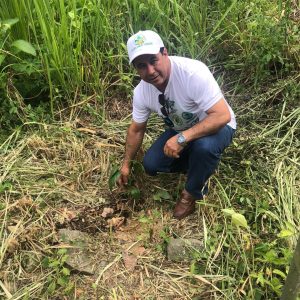 reforestacion3
