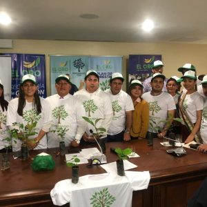 reforestacion7